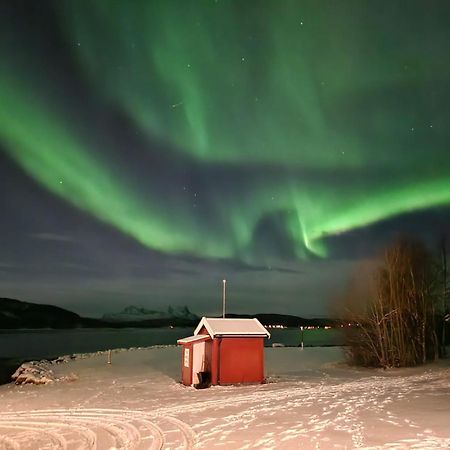 Ulvsvag Gjestgiveri Og Fjordcamping As Exteriér fotografie